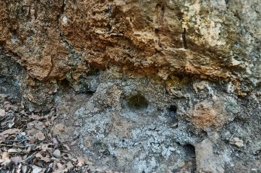Görünür erozyonu, kurumuş toprağı ve yere saçılmış kahverengi yaprakları olan desenli kaya yüzeyine yakın çekim..
