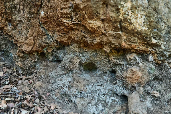 Görünür erozyonu, kurumuş toprağı ve yere saçılmış kahverengi yaprakları olan desenli kaya yüzeyine yakın çekim..