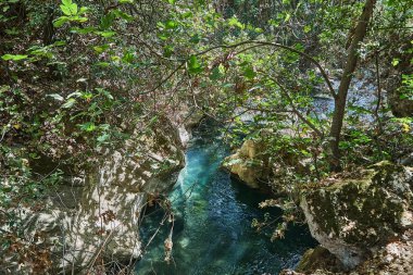 Sıcak gün ışığında yoğun dallar ve yeşil ormanlarla çevrili yosunlu kayaların arasından geçen kristal berrak nehir..