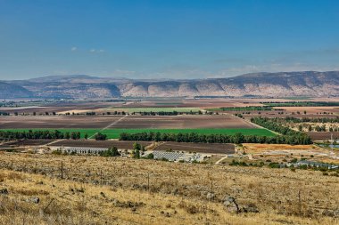 Tepelerle çevrili ve sıra sıra yeşil ağaçlarla çevrili ekili tarlaların hava perspektifi.