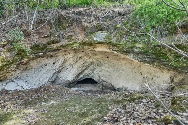 Toprak ve bitki örtüsüyle çevrili bir ormandaki mağara girişinde kaya oluşumları ve yere düşen yapraklar görülebilir.