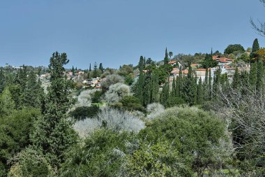 Huzurlu bir kırsal bölgedeki açık mavi gökyüzünün altında, uzun ağaçlar ve çalılar da dahil olmak üzere çeşitli yeşilliklerle çevrili konut evleri manzarası