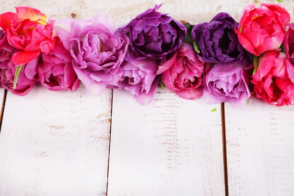 Tulipes roses dans une rangée — Photo