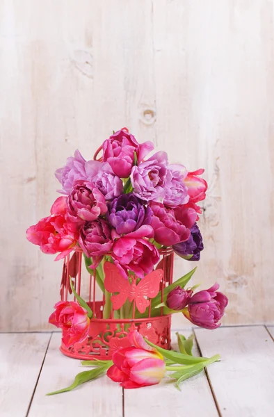 Disposición de tulipanes rosados — Foto de Stock