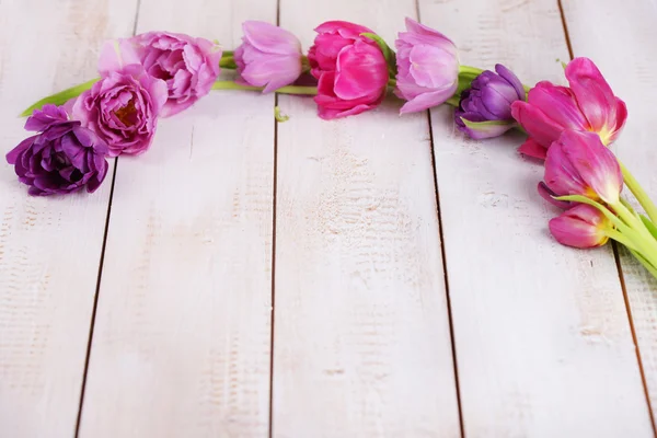 Pink tulips in a row — Stock Photo, Image