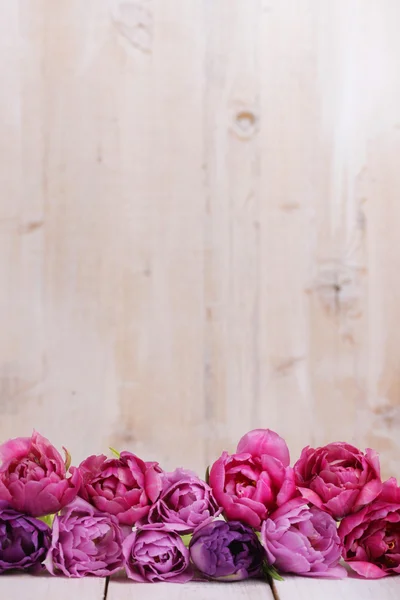 Tulipanes rosados en fila — Foto de Stock