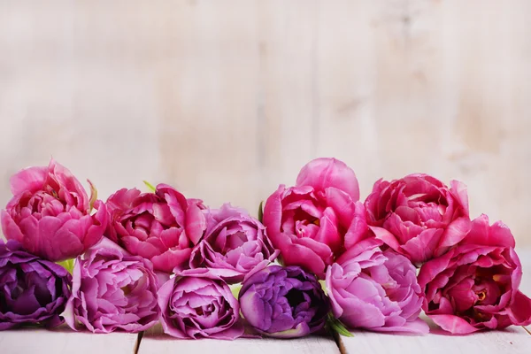 Tulipanes rosados en fila — Foto de Stock