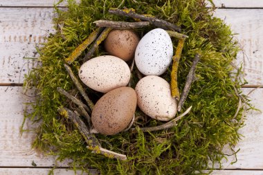 Yeşil yuva yumurta ile