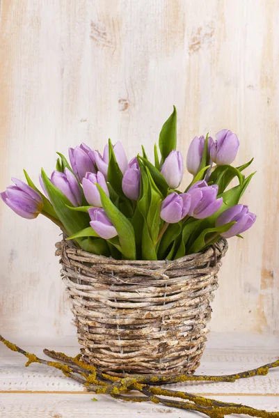 Lilac bunch of tulips — Stock Photo, Image