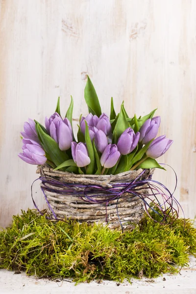 Lilac bunch of tulips — Stock Photo, Image