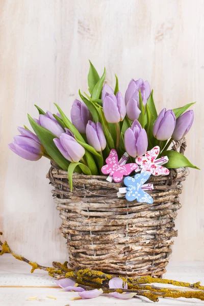 Lilaceflokk med tulipaner – stockfoto