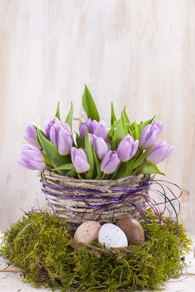 Lilac bunch of tulips — Stock Photo, Image