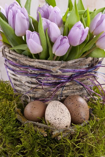 Lilac bunch of tulips — Stock Photo, Image