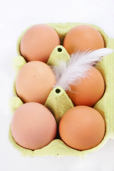 Caixa de ovo — Fotografia de Stock