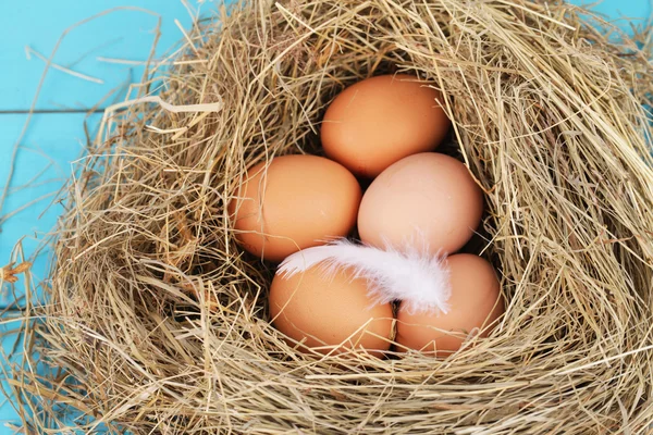 Nido naturale con uova di pollo — Foto Stock