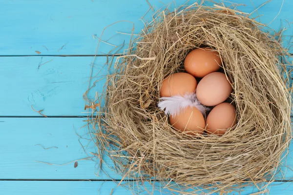 Natural nest with chicken eggs — Stock Photo, Image