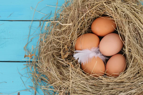 Nido naturale con uova di pollo — Foto Stock