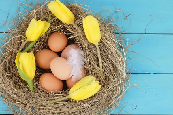 Natural nest with chicken eggs — Stock Photo, Image
