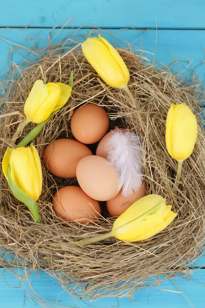 Nido naturale con uova di pollo — Foto Stock