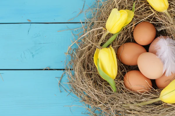 Natural nest with chicken eggs — Stock Photo, Image