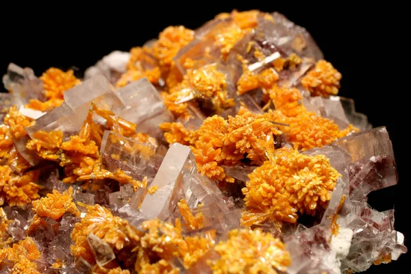 Müze mineral numunesi, çok güzel bir kombinasyon parçası. Masada berrak Baryte kristalleri ve Quiruvilca Madeni 'nden minik Orpiment kolyeleri, Peru.