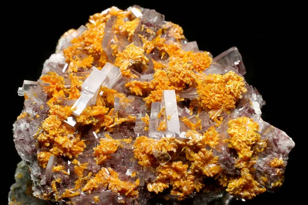 Müze mineral numunesi, çok güzel bir kombinasyon parçası. Masada berrak Baryte kristalleri ve Quiruvilca Madeni 'nden minik Orpiment kolyeleri, Peru.