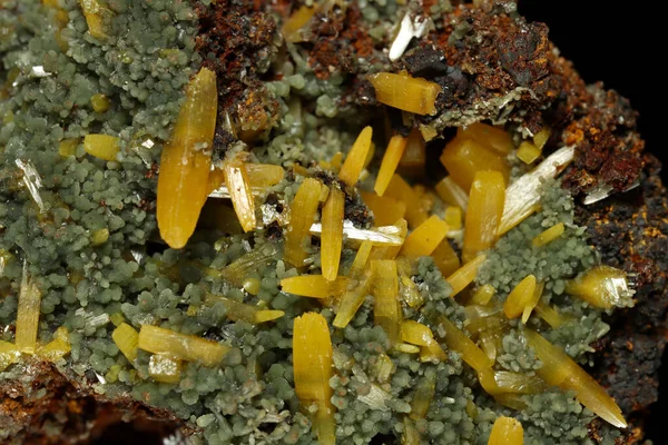 Matrisin üzerinde San Juan Poniente Damarı 'nın yeşil mimetitleri olan karamelli Wulfenite kristalleri var.