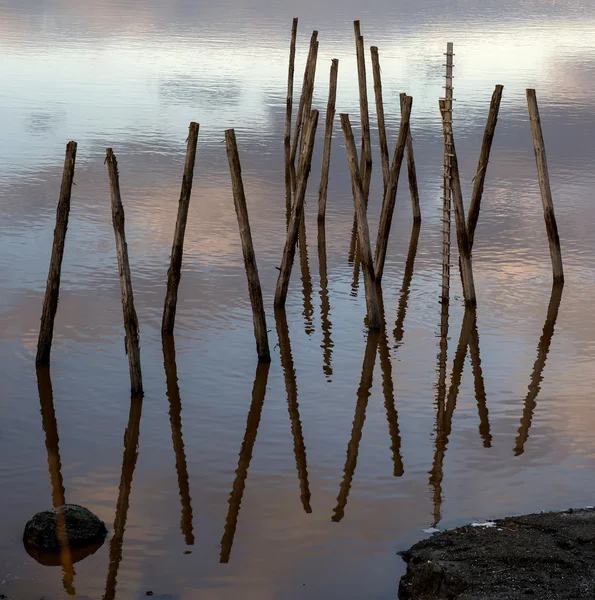 Madera en el agua . —  Fotos de Stock