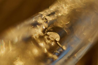 Kışın Buz Altını