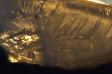 Icicle 'ın İç Dünyası