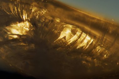 Icicle 'ın İç Dünyası