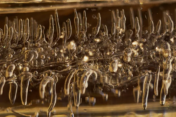 Trésor caché à l'intérieur de la glace — Photo