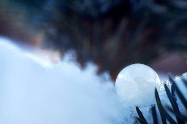 Bir kış günü Noel ağacı dalında beyaz donmuş sabun köpüğü.