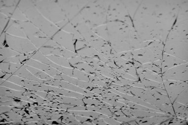 Kırık Araba Dokusunun Kırık Ön Penceresi