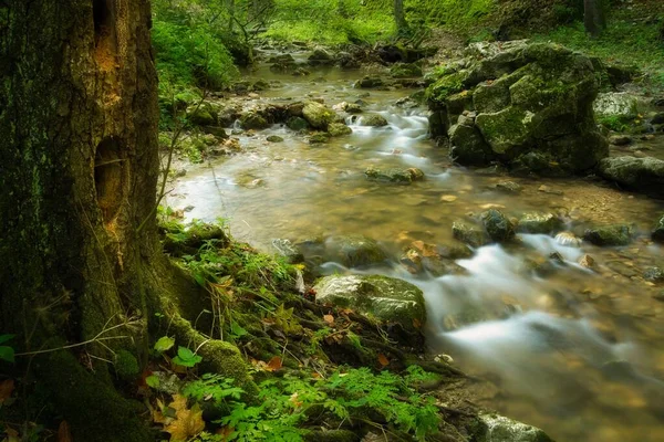 Fließender Bach Herbstwald — Stockfoto