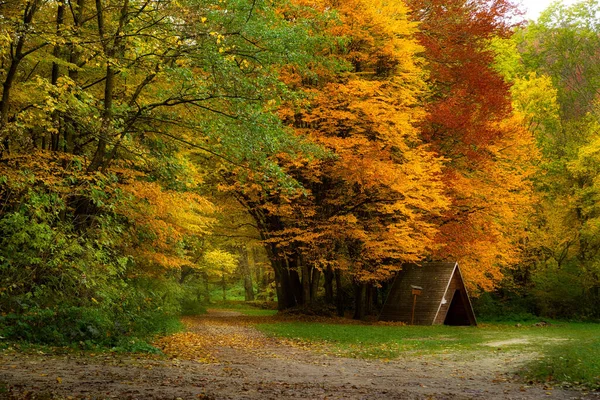 Herbstwald Mit Wanderhütte — Stockfoto