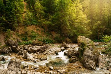 Akış ve Peyzaj Park