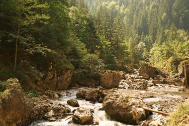 Akış ve Peyzaj Park