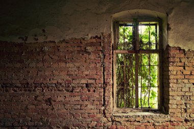 terk edilmiş eski bir ev