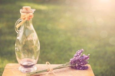 Lavanta buket ve aroma oli