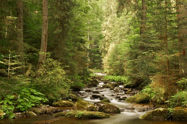 Bach und Landschaft im Park — Stockfoto