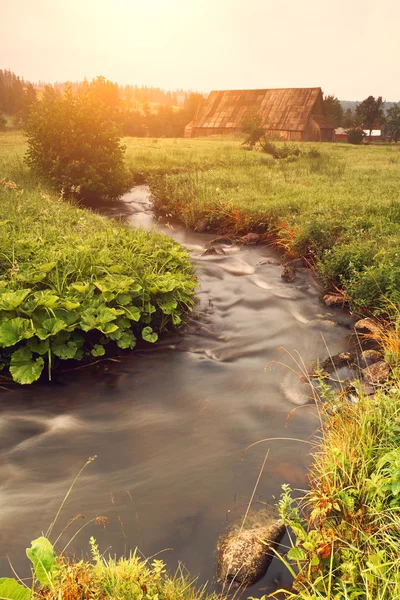 Creek no campo verde — Fotografia de Stock