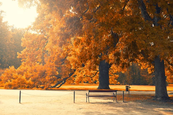 Wooden bench in the park — Stock Photo, Image