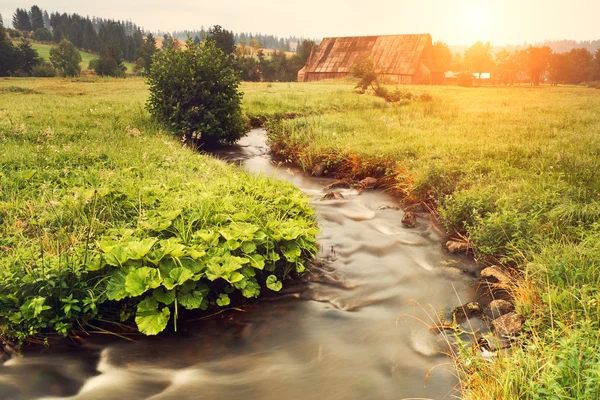 Insenatura nel campo verde — Foto Stock