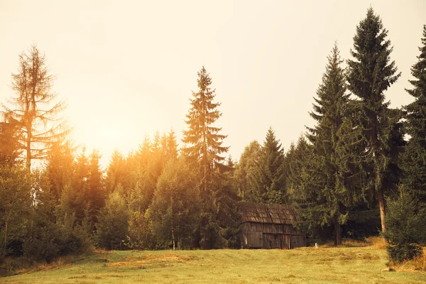Wooden Cabin on the field