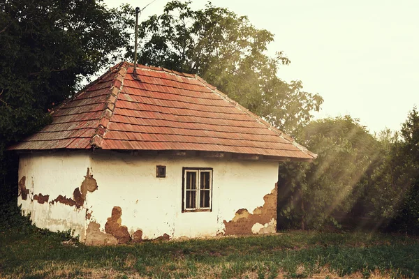 Oud huis en groen bos — Stockfoto