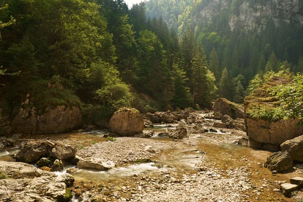 Flusso e paesaggio nel parco — Foto Stock