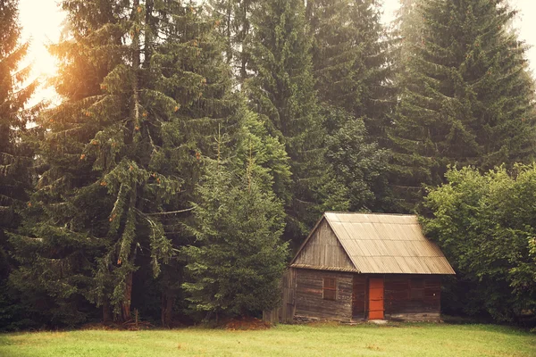 Cabina in legno sul campo — Foto Stock