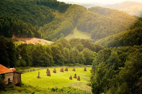 Mountain view in sun rays — Stock Photo, Image