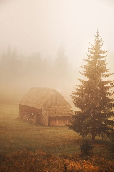 Cabaña en el campo de niebla — Foto de Stock